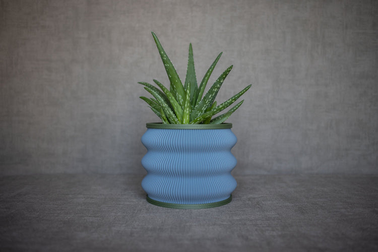 Shop all - Tinie Studio