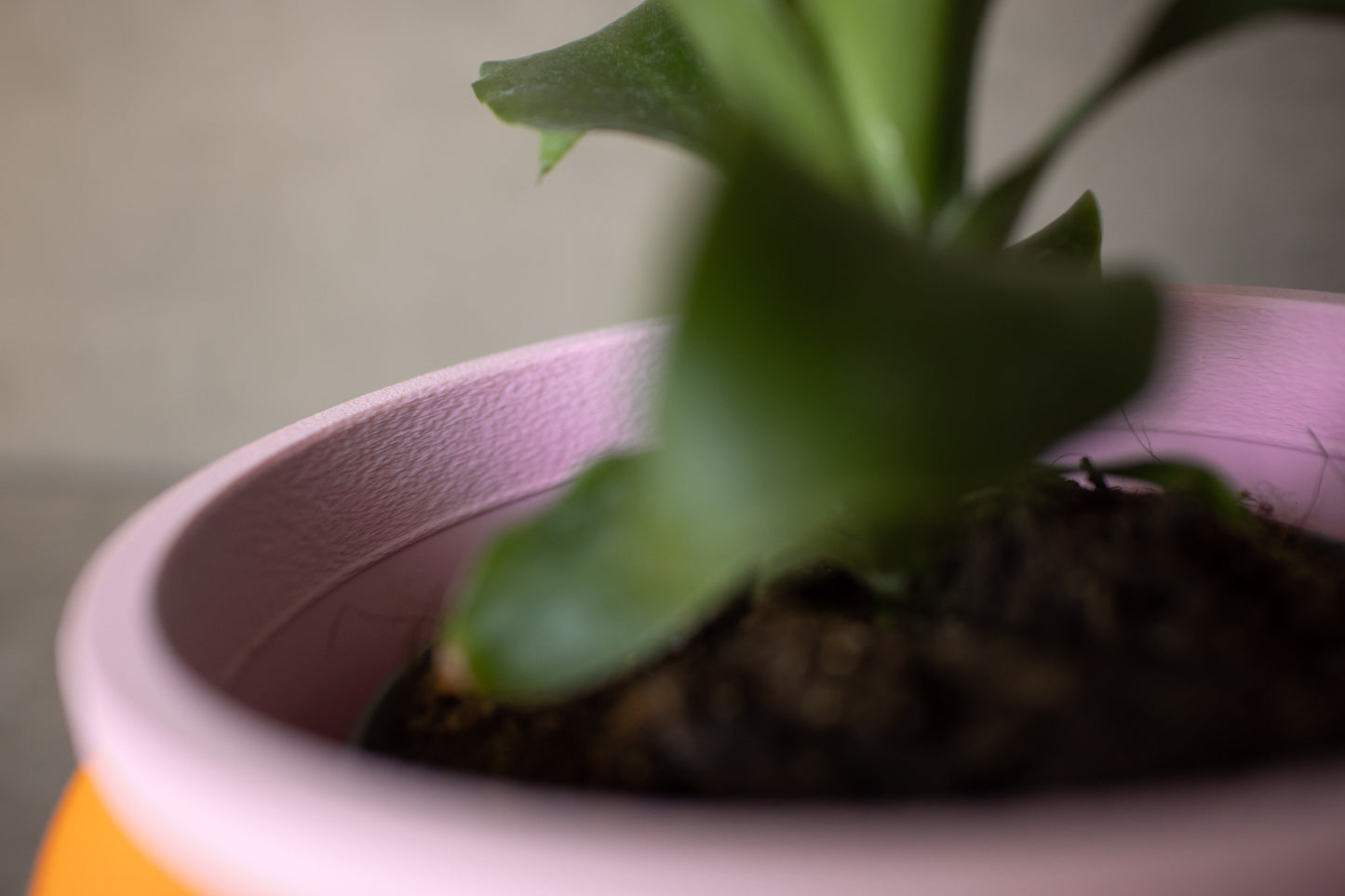 Orange Wavy Planter - Tinie Studio