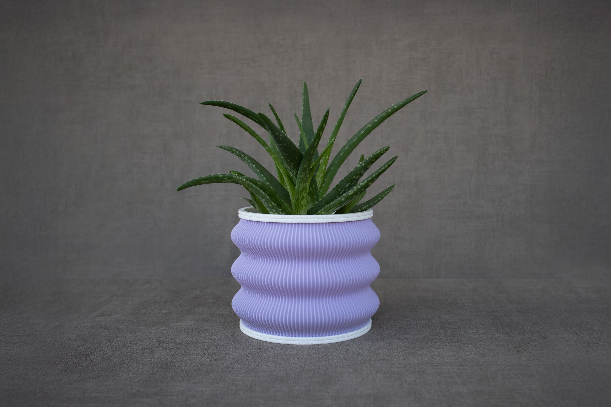 Purple Wavy Planter - Tinie Studio
