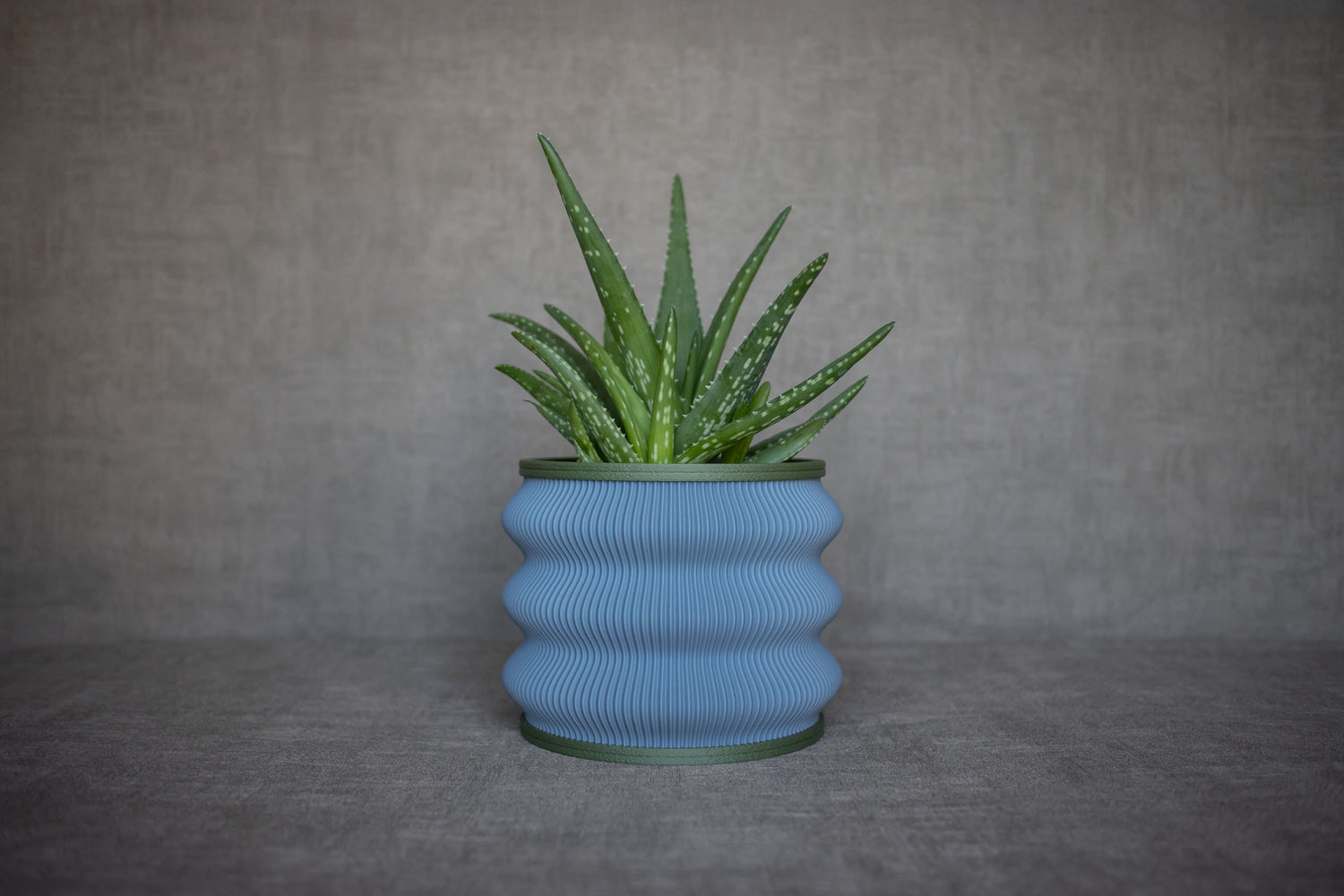 Blue Wavy Planter - Tinie Studio