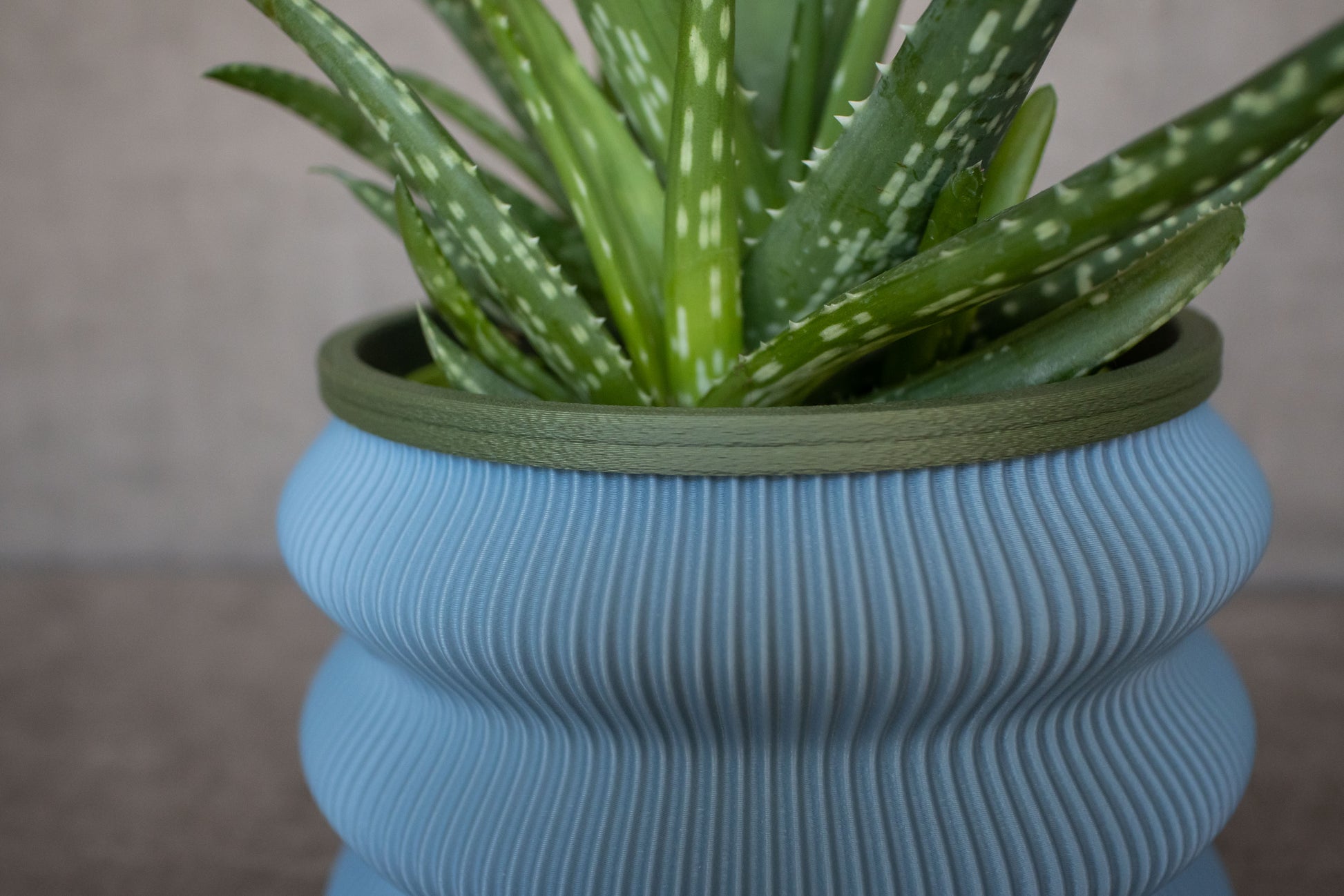 Blue Wavy Planter - Tinie Studio